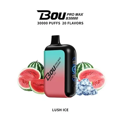 Bou Pro Max B30000 puflar